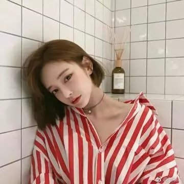 如果历史是一群喵第六季在线观看